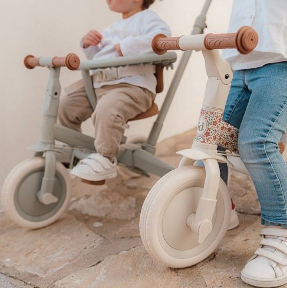 Little Dutch Tricycle with Push Bar