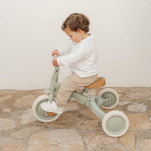 Little Dutch Tricycle with Push Bar