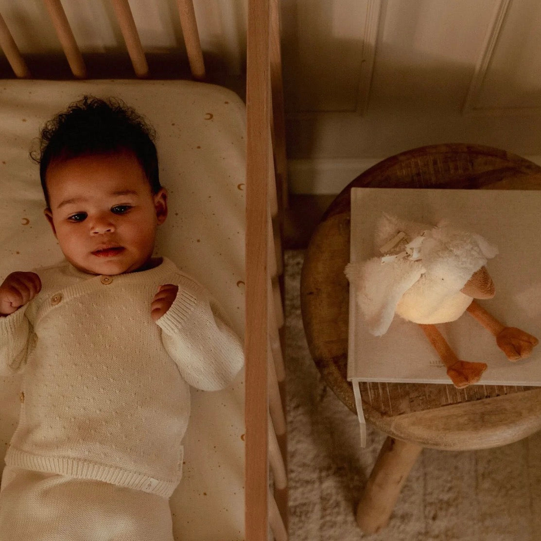 Little Dutch Cuddle Goose Light & Sound