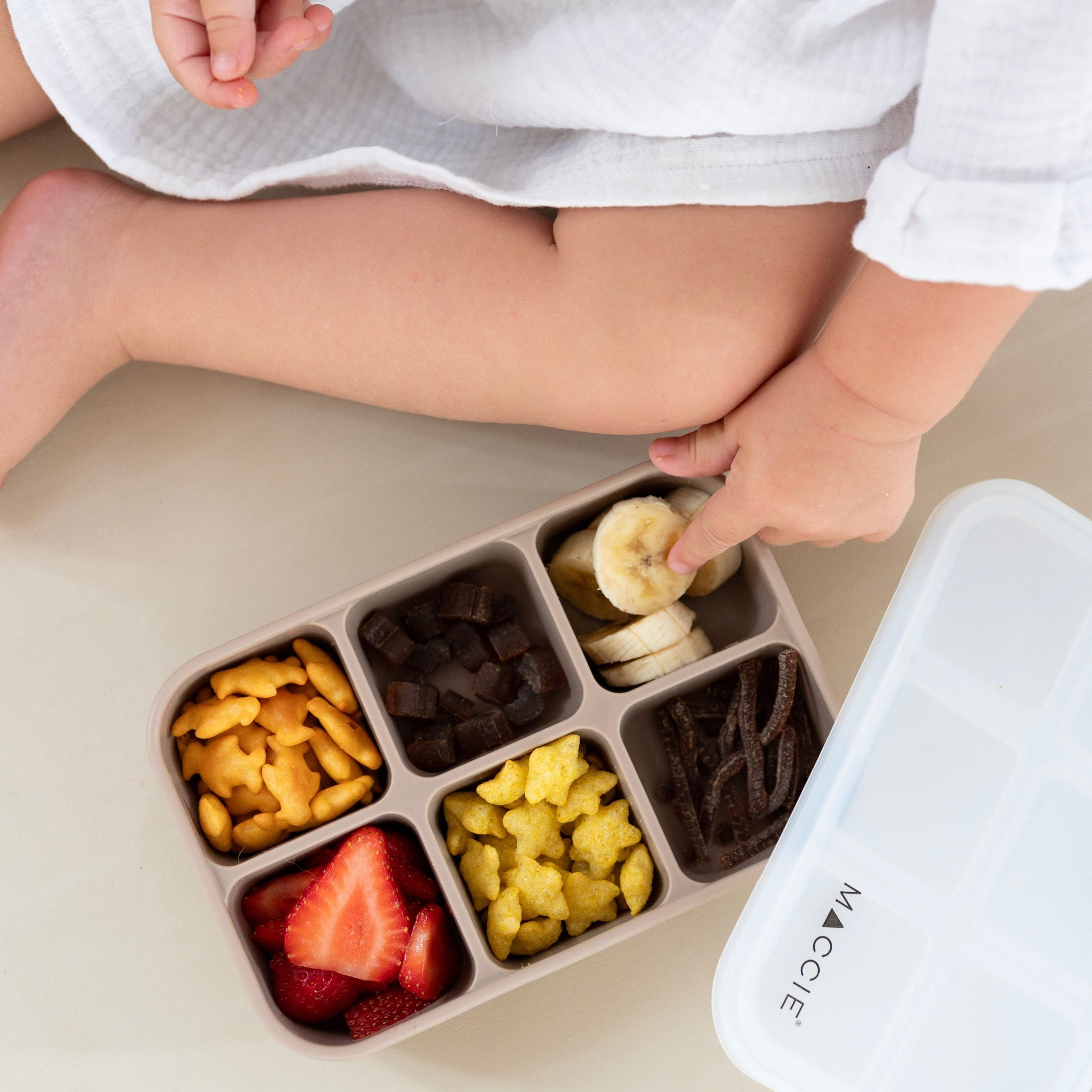 Cube & Cruz Snackle Box & Freezer Tray